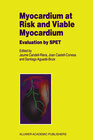 Buchcover Myocardium at Risk and Viable Myocardium