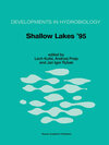 Buchcover Shallow Lakes ’95
