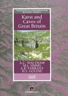 Buchcover Karst and Caves of Great Britain