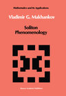 Buchcover Soliton Phenomenology