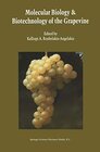 Buchcover Molecular Biology & Biotechnology of the Grapevine (English Edition)