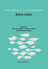 Buchcover Saline Lakes