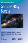 Buchcover Gamma-Ray Bursts