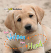 Buchcover Vom Welpen zum Hund