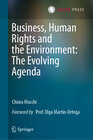 Buchcover Business, Human Rights and the Environment: The Evolving Agenda