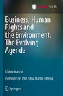 Buchcover Business, Human Rights and the Environment: The Evolving Agenda