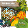 Buchcover Kleine Waldbewohner: Insekten, Würmer und Schnecken
