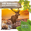 Buchcover Große Waldbewohner: Hirsche, Eichhörnchen und Füchse