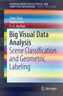 Buchcover Big Visual Data Analysis