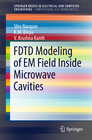 Buchcover FDTD Modeling of EM Field inside Microwave Cavities