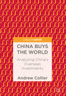 Buchcover China Buys the World