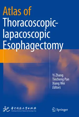 Buchcover ISBN 9789811075681