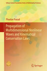 Buchcover Propagation of Multidimensional Nonlinear Waves and Kinematical Conservation Laws