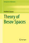 Buchcover Theory of Besov Spaces