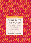 Buchcover China Buys the World