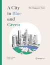 Buchcover A City in Blue and Green