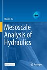 Buchcover Mesoscale Analysis of Hydraulics