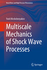 Buchcover Multiscale Mechanics of Shock Wave Processes