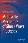 Buchcover Multiscale Mechanics of Shock Wave Processes