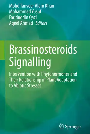 Buchcover ISBN 9789811657429