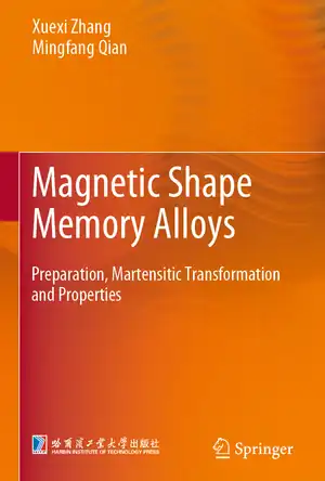 Buchcover ISBN 9789811663383