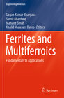 Buchcover Ferrites and Multiferroics