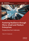 Buchcover Fostering Resilience through Micro, Small and Medium Enterprises