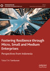 Buchcover Fostering Resilience through Micro, Small and Medium Enterprises