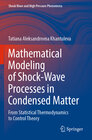 Buchcover Mathematical Modeling of Shock-Wave Processes in Condensed Matter
