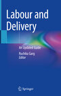 Buchcover Labour and Delivery