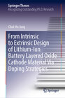 Buchcover From Intrinsic to Extrinsic Design of Lithium-Ion Battery Layered Oxide Cathode Material Via Doping Strategies