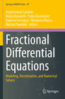Buchcover Fractional Differential Equations