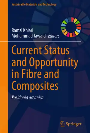 Buchcover ISBN 9789819645466