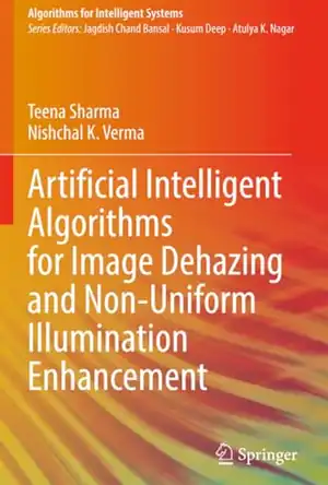 Buchcover ISBN 9789819720132