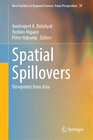 Buchcover Spatial Spillovers