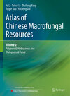 Buchcover Atlas of Chinese Macrofungal Resources
