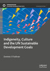 Buchcover Indigeneity, Culture and the UN Sustainable Development Goals