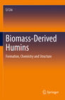 Buchcover Biomass-Derived Humins
