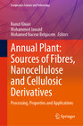 Annual Plant: Sources of Fibres, Nanocellulose and Cellulosic Derivatives width=