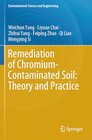 Buchcover Remediation of Chromium-Contaminated Soil: Theory and Practice