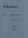 Buchcover Franz Schubert - Klaviersonate A-dur D 959